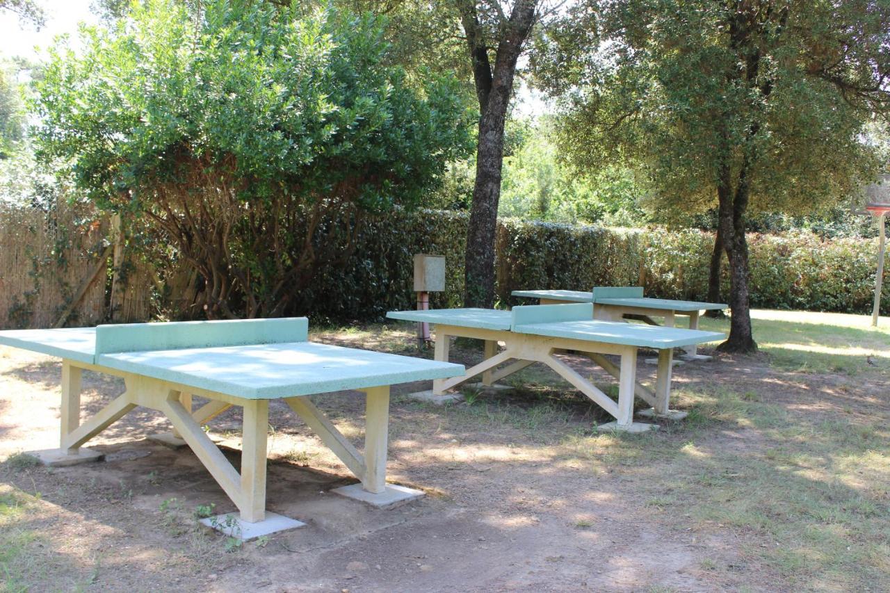 Camping Le Puits De L'Auture Ξενοδοχείο Saint-Palais-sur-Mer Εξωτερικό φωτογραφία